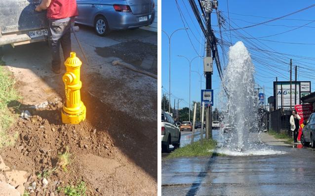 Otra vez destruyen grifo en Valdivia